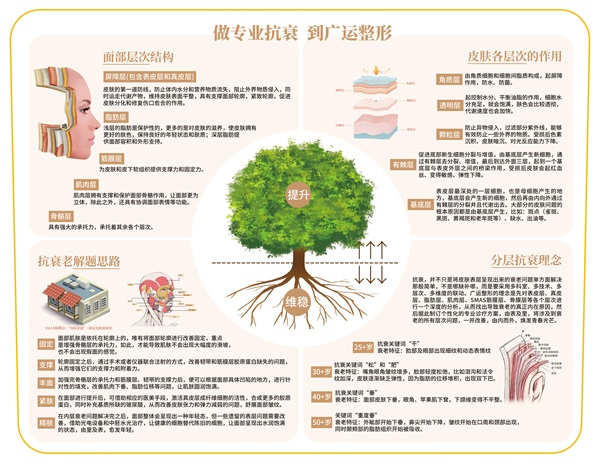 脸上拉皮手术需要多少钱